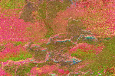 yaratıcı ve tasarım sanatı, kopyalama alanı duvar kağıdı, soyut renkli doku arkaplanı  