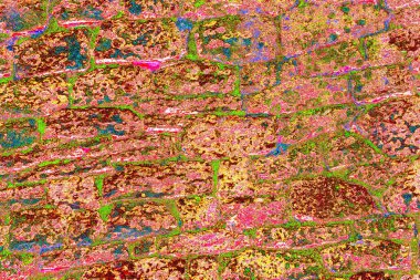 Duvar kağıdı için soyut renkli doku arkaplanı. Yaratıcı ve tasarım sanatı, eski duvar dokusu.