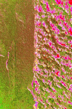 Arkaplan olarak kullanmak için duvarın resmi.