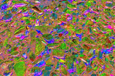 Doğada kayalık yol