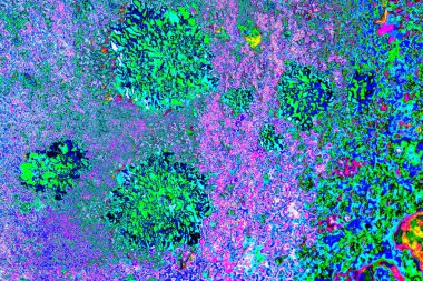 Duvar kağıdı için suluboya arka planının soyut renkli dokusu. Yaratıcı ve tasarım sanatı.