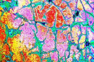 yaratıcı ve tasarım sanatı, kopyalama alanı duvar kağıdı, soyut renkli doku arkaplanı