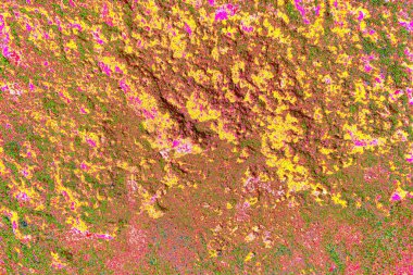 Çizik ve çatlaklarla metal doku