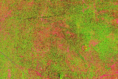 yaratıcı ve tasarım sanatı, kopyalama alanı duvar kağıdı, soyut renkli doku arkaplanı  