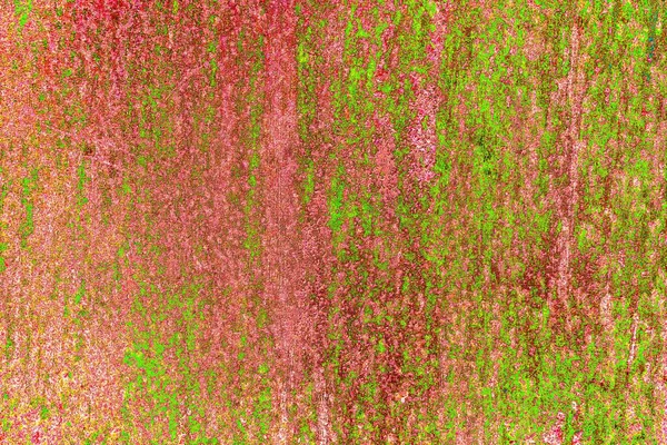 Soyut arkaplan. monokrom dokusu. resim siyah ve beyaz tonları içerir.