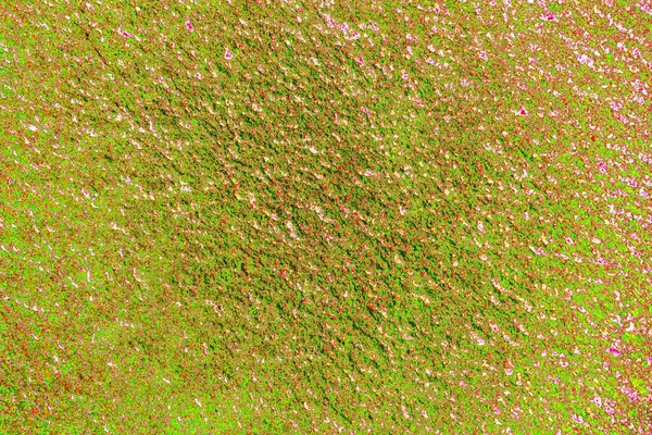 Arkaplan olarak kullanmak için duvarın resmi.