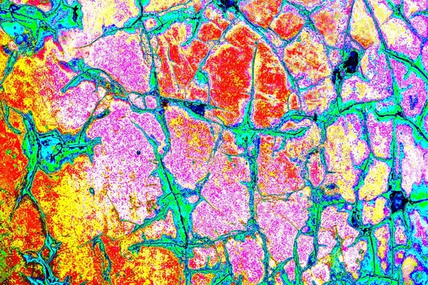 yaratıcı ve tasarım sanatı, kopyalama alanı duvar kağıdı, soyut renkli doku arkaplanı