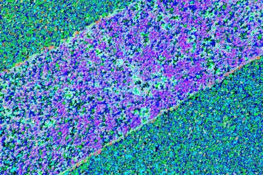 Arkaplan olarak kullanılmak üzere sıvanmış duvarın resmi