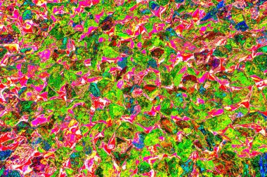 Doğada kayalık yol