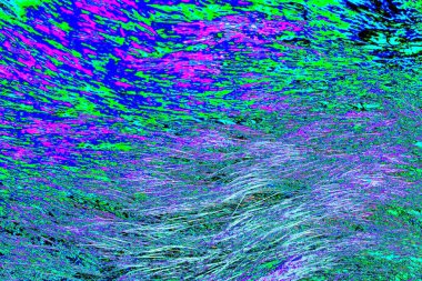 Yaban domuzu kürkü, vahşi hayvan, yaklaşın.