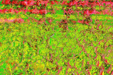 Kuru toprakta kasılma ve kurutma çatlakları var. Topraktaki su eksikliğinden dolayı. Küresel ısınma kavramı. İklim ısınması kurumuş topraklar.