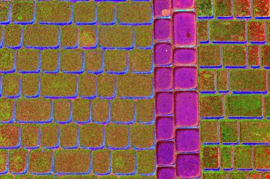 Duvar kağıdı için suluboya arka planının soyut renkli dokusu. Yaratıcı ve tasarım sanatı, eski duvar dokusu.