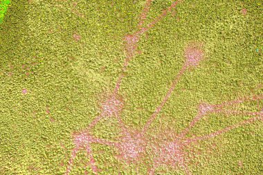 Yaratıcı ve tasarım sanatı, eski duvar dokusu. Duvar kağıdı için soyut renkli doku arkaplanı. 