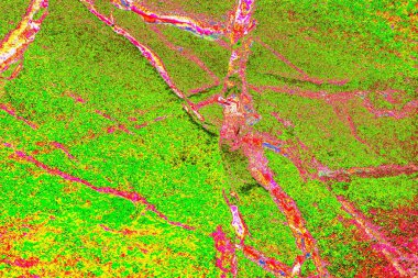 yaratıcı ve tasarım sanatı, kopyalama alanı duvar kağıdı, soyut renkli doku arkaplanı  