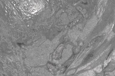 Soyut arkaplan renkli modern desen 