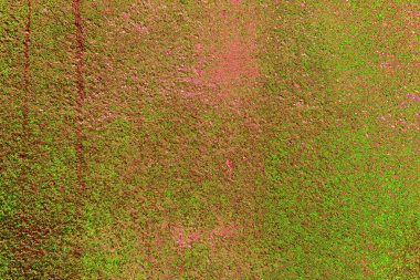 yaratıcı ve tasarım sanatı, kopyalama alanı duvar kağıdı, soyut renkli doku arkaplanı  