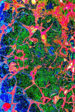 yaratıcı ve tasarım sanatı, kopyalama alanı duvar kağıdı, soyut renkli doku arkaplanı