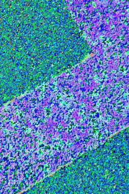 Arkaplan olarak kullanılmak üzere sıvanmış duvarın resmi