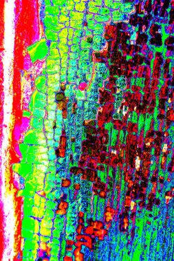 kopyalama alanı duvar kağıdı, soyut renkli doku arkaplanı, yaratıcı ve tasarım sanatı