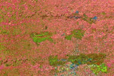 kopyalama alanı duvar kağıdı, soyut renkli doku arkaplanı, yaratıcı ve tasarım sanatı