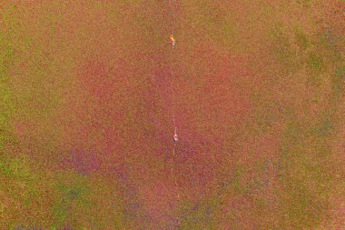 Arkaplan olarak kullanılmak üzere sıvanmış duvarın resmi