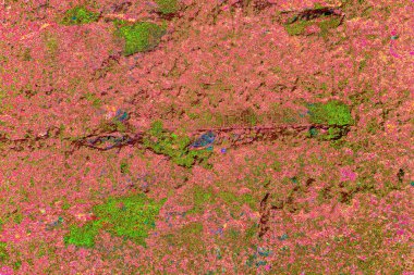 kopyalama alanı duvar kağıdı, soyut renkli doku arkaplanı, yaratıcı ve tasarım sanatı