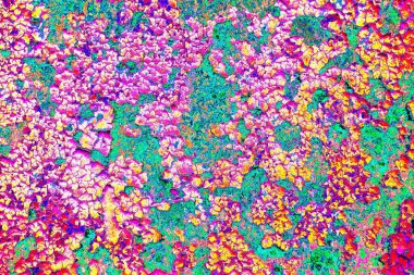 Dökülen boya paslı metal dokusu