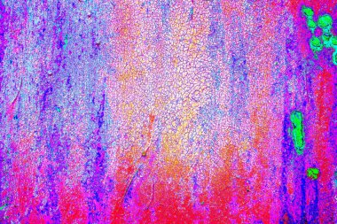 yaratıcı ve tasarım sanatı, kopyalama alanı duvar kağıdı, soyut renkli doku arkaplanı