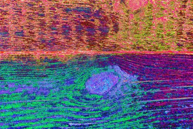 yaratıcı ve tasarım sanatı, kopyalama alanı duvar kağıdı, soyut renkli doku arkaplanı