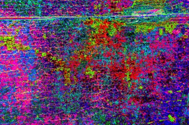 kopyalama alanı duvar kağıdı, soyut renkli doku arkaplanı, yaratıcı ve tasarım sanatı