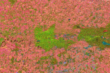 kopyalama alanı duvar kağıdı, soyut renkli doku arkaplanı, yaratıcı ve tasarım sanatı