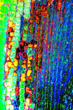 kopyalama alanı duvar kağıdı, soyut renkli doku arkaplanı, yaratıcı ve tasarım sanatı