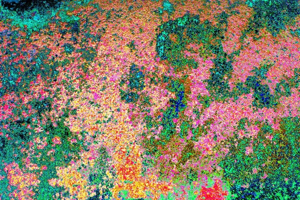 kopyalama alanı duvar kağıdı, soyut renkli doku arkaplanı, yaratıcı ve tasarım sanatı