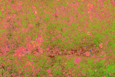 kopyalama alanı duvar kağıdı, soyut renkli doku arkaplanı, yaratıcı ve tasarım sanatı