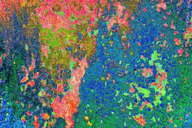 Karışık renklerin soyut suluboya paleti, renk karışımı, duvar kağıdını kopyala, soyut renkli doku arkaplanı