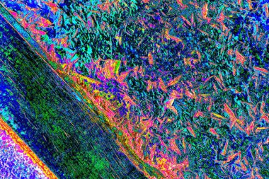 kopyalama alanı duvar kağıdı, soyut renkli doku arkaplanı, yaratıcı ve tasarım sanatı