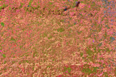 kopyalama alanı duvar kağıdı, soyut renkli doku arkaplanı, yaratıcı ve tasarım sanatı