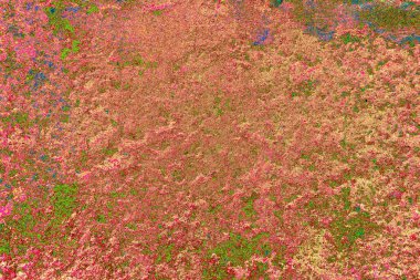 kopyalama alanı duvar kağıdı, soyut renkli doku arkaplanı, yaratıcı ve tasarım sanatı