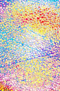 Polistiren köpük yakın plan. Bir sürü küçük ve büyük kabarcıklar stiroköpük doku arkaplanı.