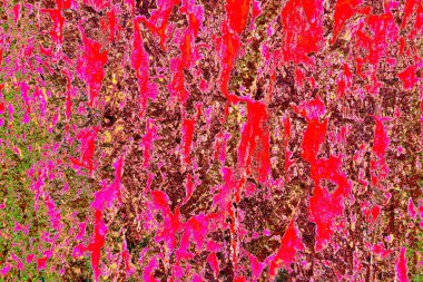 yaratıcı ve tasarım sanatı, kopyalama alanı duvar kağıdı, soyut renkli doku arkaplanı