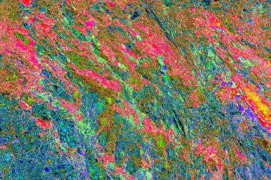 Nehrin kenarındaki uçurum. Transcarpathia