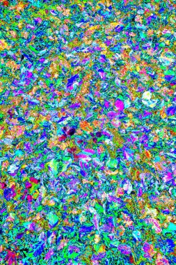 Yere düşen sarı yapraklar