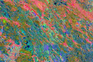 Nehrin kenarındaki uçurum. Transcarpathia