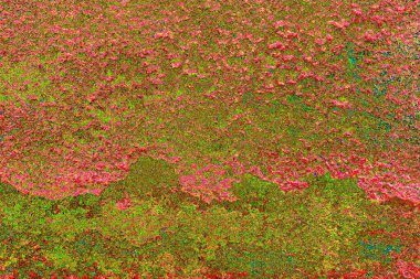 yaratıcı ve tasarım sanatı, kopyalama alanı duvar kağıdı, soyut renkli doku arkaplanı  