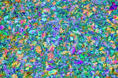 Yere düşen sarı yapraklar