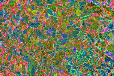 Soyut neon renkler çizik ve çatlaklarla dokulu duvar. 