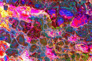 Soyut neon renkler çizik ve çatlaklarla dokulu duvar. 