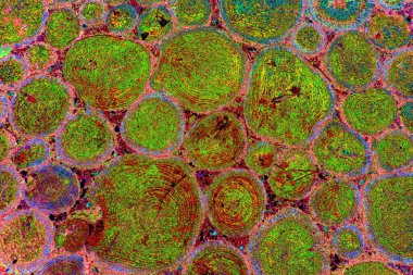 yaratıcı ve tasarım sanatı, kopyalama alanı duvar kağıdı, soyut renkli doku arkaplanı  