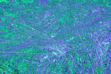 İlkbaharda ormanın kenarında kuru otlar. Transcarpathia