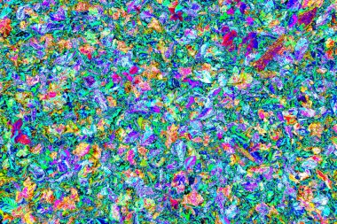 Yere düşen sarı yapraklar